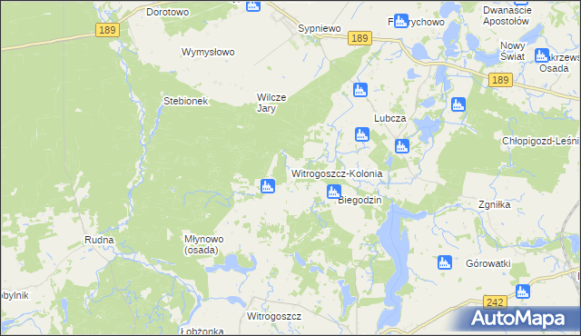 mapa Witrogoszcz-Kolonia, Witrogoszcz-Kolonia na mapie Targeo