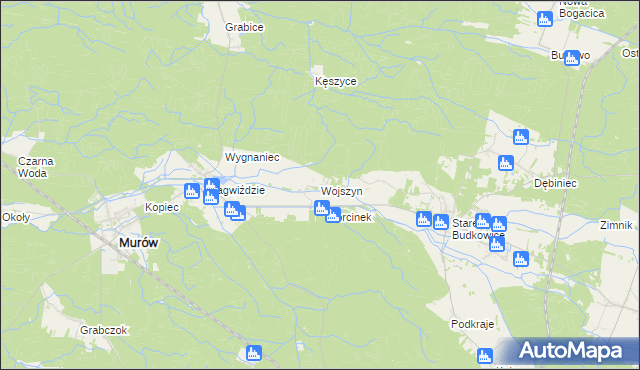 mapa Wojszyn gmina Murów, Wojszyn gmina Murów na mapie Targeo