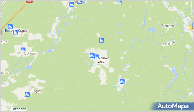 mapa Wołowe Lasy, Wołowe Lasy na mapie Targeo