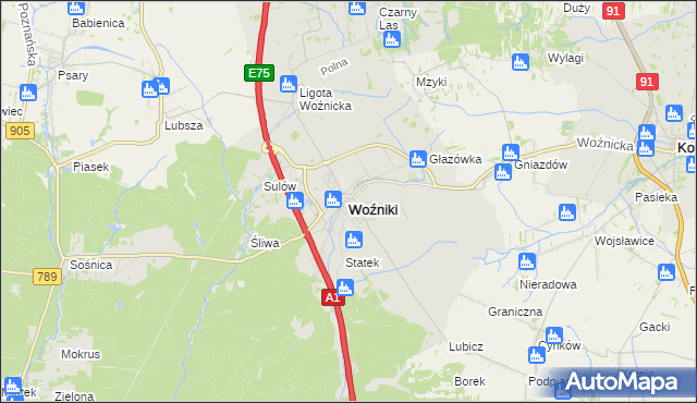 mapa Woźniki powiat lubliniecki, Woźniki powiat lubliniecki na mapie Targeo