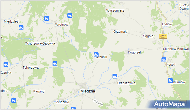 mapa Wrzoski gmina Miedzna, Wrzoski gmina Miedzna na mapie Targeo