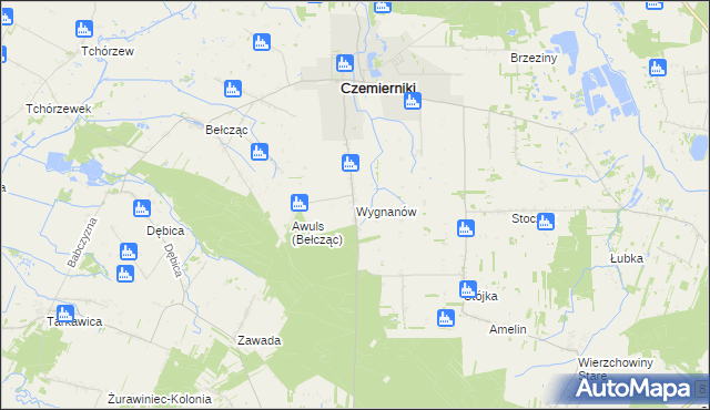 mapa Wygnanów gmina Czemierniki, Wygnanów gmina Czemierniki na mapie Targeo