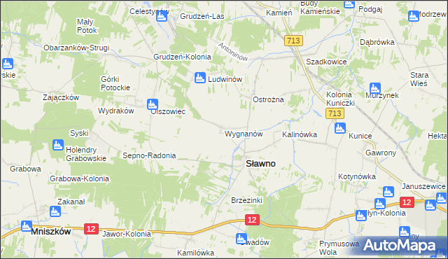 mapa Wygnanów gmina Sławno, Wygnanów gmina Sławno na mapie Targeo