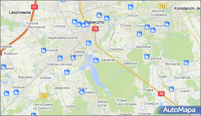 mapa Żabieniec gmina Piaseczno, Żabieniec gmina Piaseczno na mapie Targeo