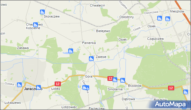 mapa Zalesie gmina Jaraczewo, Zalesie gmina Jaraczewo na mapie Targeo