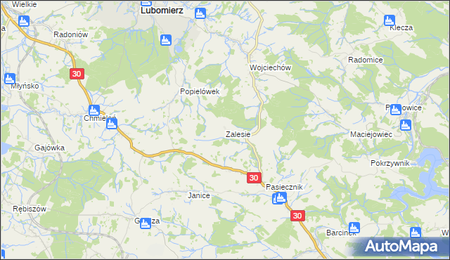 mapa Zalesie gmina Lubomierz, Zalesie gmina Lubomierz na mapie Targeo