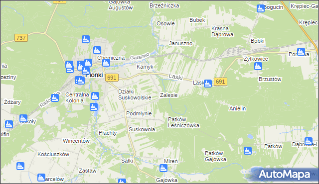 mapa Zalesie gmina Pionki, Zalesie gmina Pionki na mapie Targeo