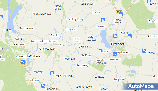 mapa Zalesie gmina Przedecz, Zalesie gmina Przedecz na mapie Targeo