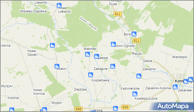 mapa Zalesie gmina Stara Kornica, Zalesie gmina Stara Kornica na mapie Targeo