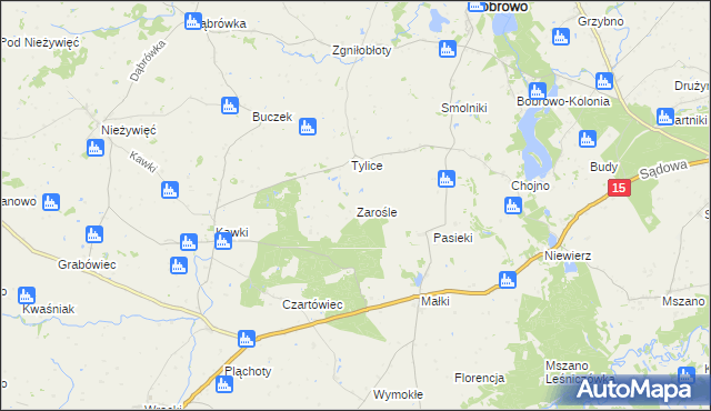 mapa Zarośle gmina Bobrowo, Zarośle gmina Bobrowo na mapie Targeo