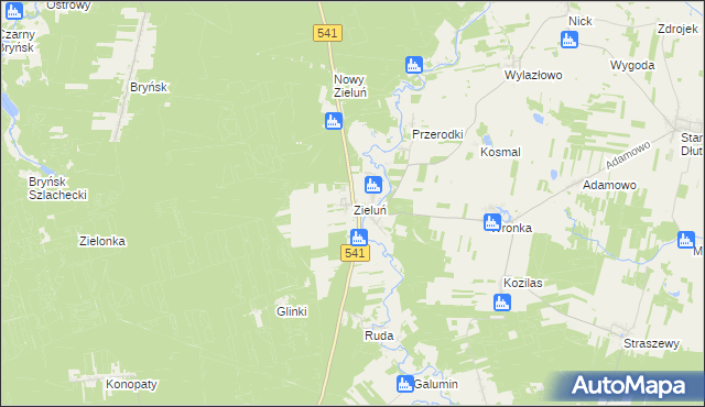 mapa Zieluń, Zieluń na mapie Targeo