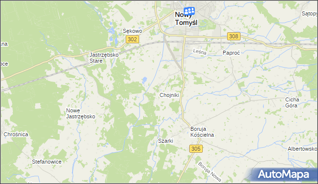 mapa Chojniki gmina Nowy Tomyśl, Chojniki gmina Nowy Tomyśl na mapie Targeo
