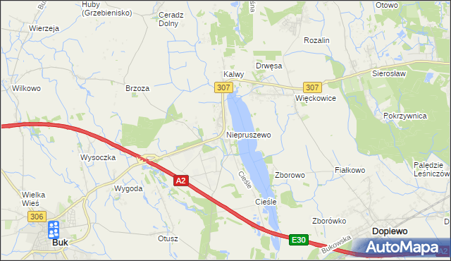 mapa Niepruszewo, Niepruszewo na mapie Targeo