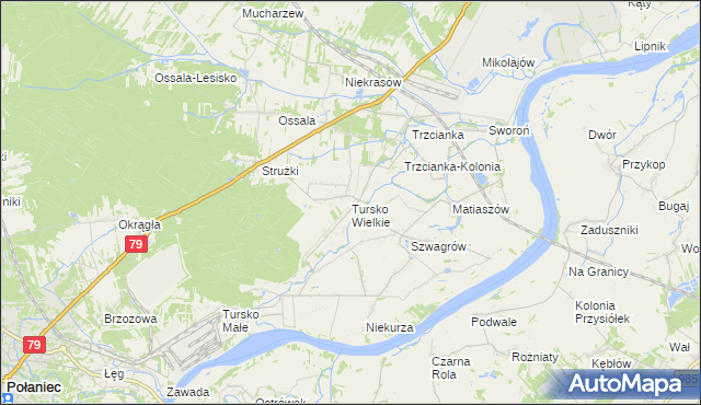 mapa Tursko Wielkie, Tursko Wielkie na mapie Targeo