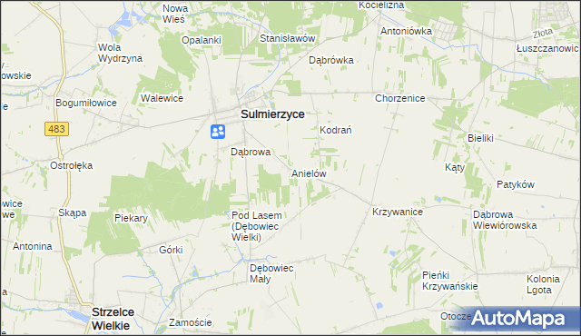 mapa Anielów gmina Sulmierzyce, Anielów gmina Sulmierzyce na mapie Targeo