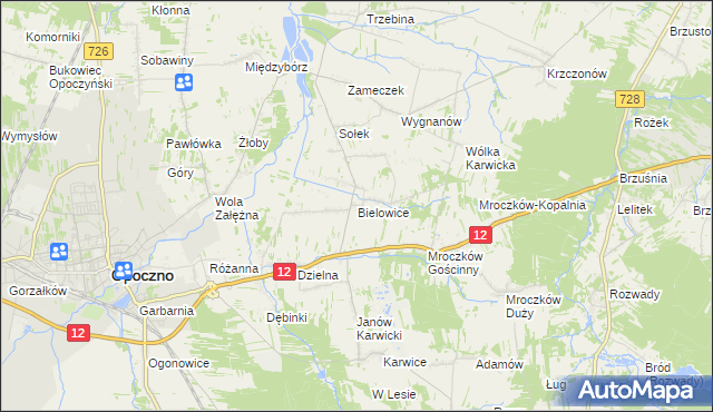 mapa Bielowice gmina Opoczno, Bielowice gmina Opoczno na mapie Targeo