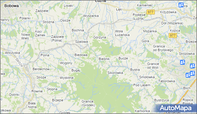 mapa Bieśnik gmina Łużna, Bieśnik gmina Łużna na mapie Targeo