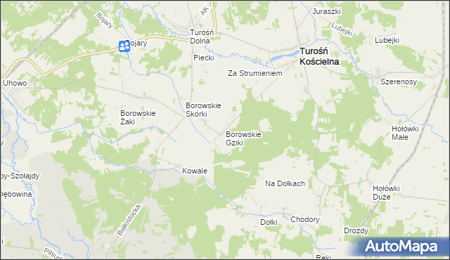 mapa Borowskie Gziki, Borowskie Gziki na mapie Targeo