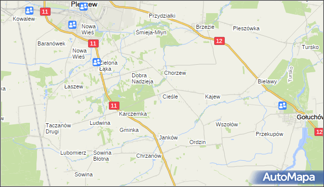 mapa Cieśle gmina Gołuchów, Cieśle gmina Gołuchów na mapie Targeo
