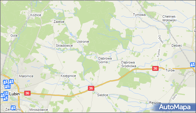 mapa Dąbrowa Górna gmina Lubin, Dąbrowa Górna gmina Lubin na mapie Targeo