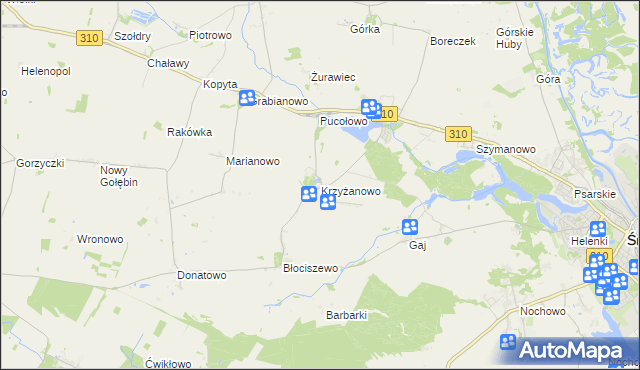 mapa Krzyżanowo gmina Śrem, Krzyżanowo gmina Śrem na mapie Targeo