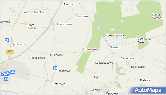 mapa Ludwinowo gmina Pępowo, Ludwinowo gmina Pępowo na mapie Targeo