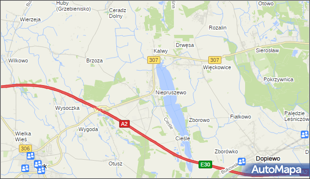 mapa Niepruszewo, Niepruszewo na mapie Targeo