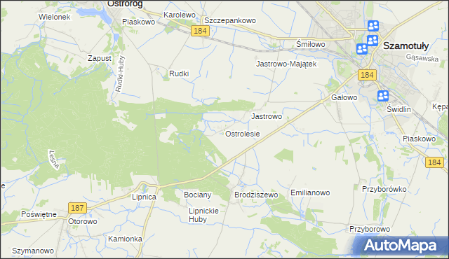 mapa Ostrolesie, Ostrolesie na mapie Targeo