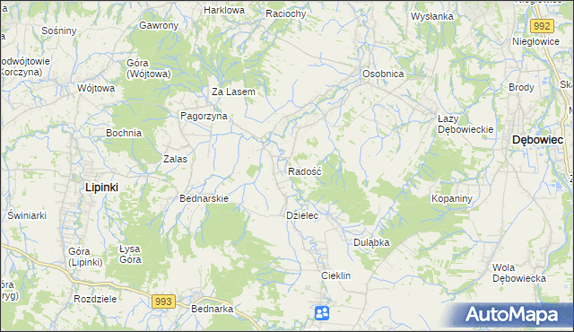 mapa Radość gmina Dębowiec, Radość gmina Dębowiec na mapie Targeo