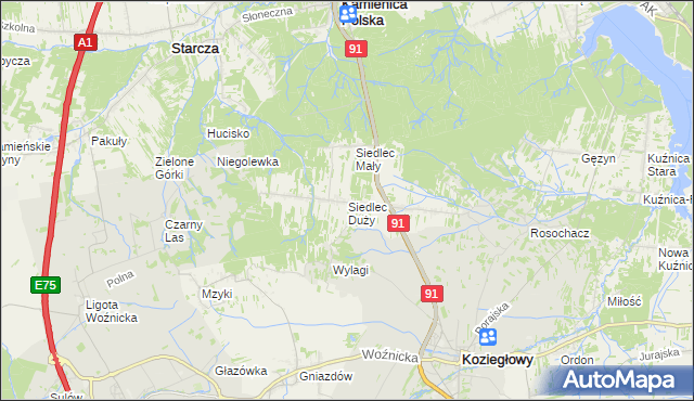 mapa Siedlec Duży, Siedlec Duży na mapie Targeo