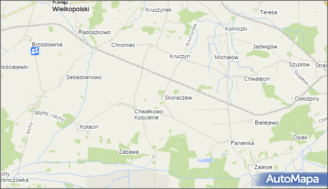mapa Skoraczew, Skoraczew na mapie Targeo