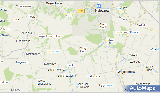 mapa Stary Gaj gmina Wojciechów, Stary Gaj gmina Wojciechów na mapie Targeo