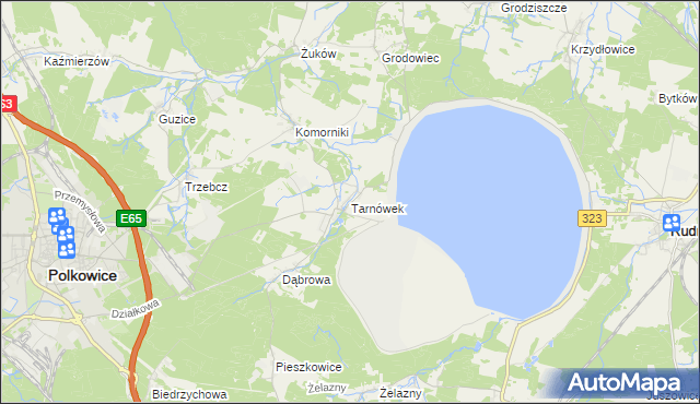 mapa Tarnówek gmina Polkowice, Tarnówek gmina Polkowice na mapie Targeo