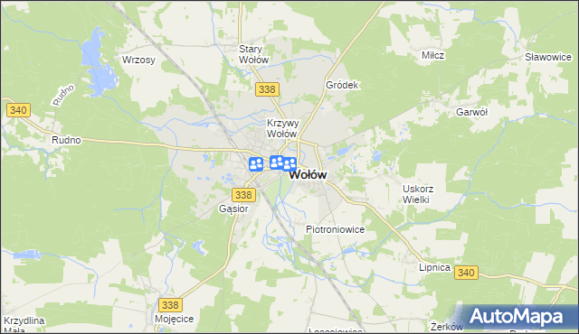 mapa Wołów, Wołów na mapie Targeo