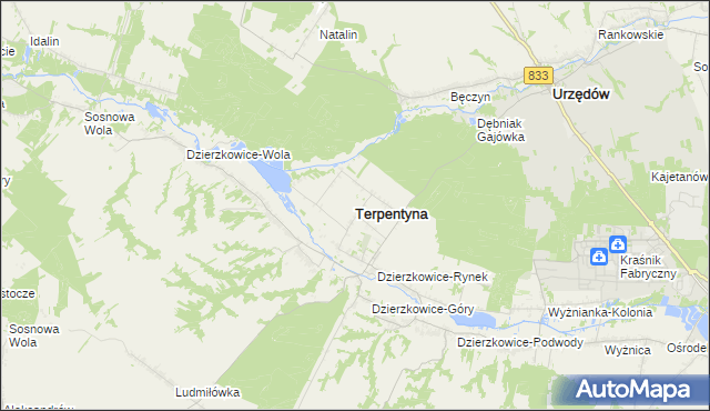 mapa Terpentyna, Terpentyna na mapie Targeo