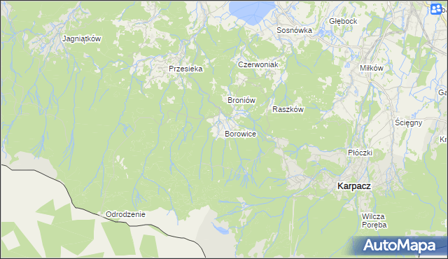 mapa Borowice gmina Podgórzyn, Borowice gmina Podgórzyn na mapie Targeo