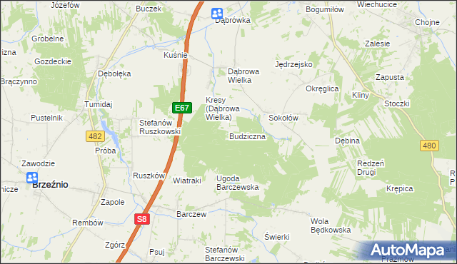 mapa Budziczna, Budziczna na mapie Targeo