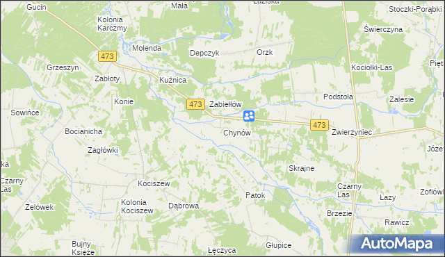 mapa Chynów gmina Drużbice, Chynów gmina Drużbice na mapie Targeo