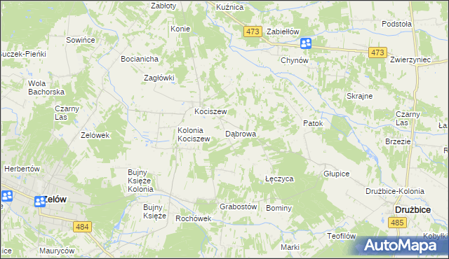 mapa Dąbrowa gmina Zelów, Dąbrowa gmina Zelów na mapie Targeo