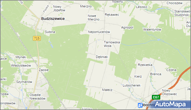 mapa Dębniak gmina Lubochnia, Dębniak gmina Lubochnia na mapie Targeo