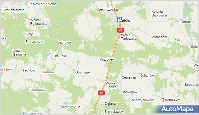 mapa Kozłówek gmina Tarłów, Kozłówek gmina Tarłów na mapie Targeo