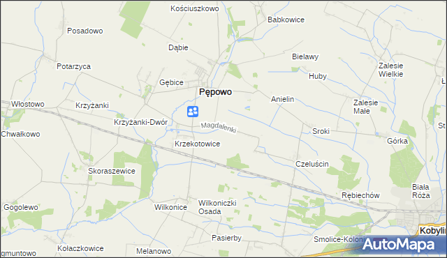 mapa Magdalenki gmina Pępowo, Magdalenki gmina Pępowo na mapie Targeo