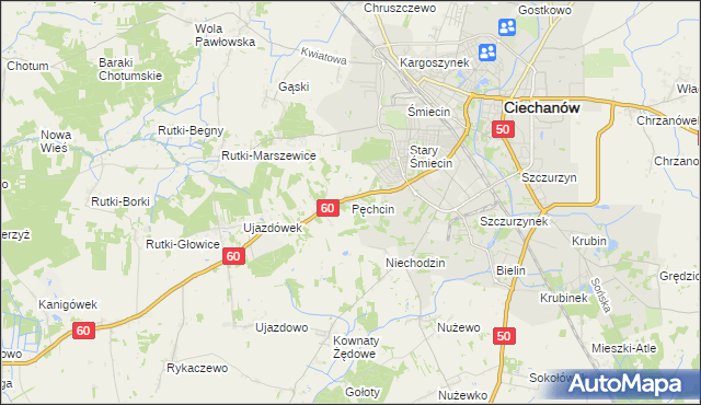 mapa Pęchcin, Pęchcin na mapie Targeo