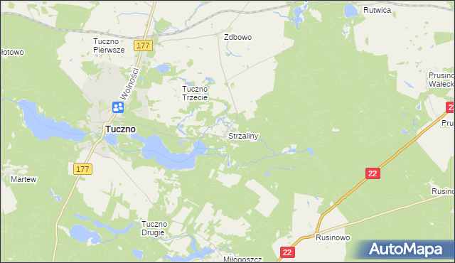 mapa Strzaliny, Strzaliny na mapie Targeo