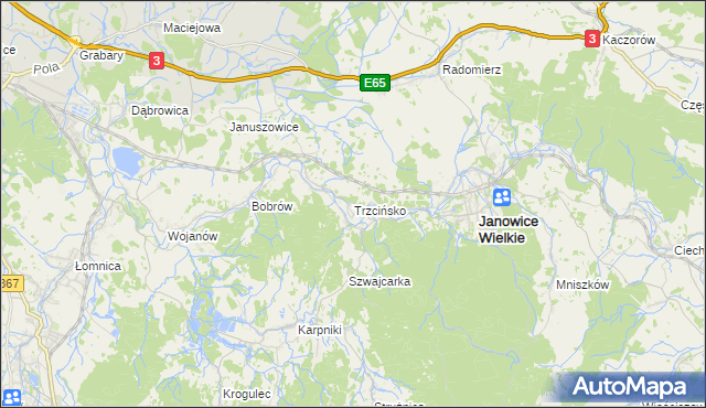mapa Trzcińsko, Trzcińsko na mapie Targeo