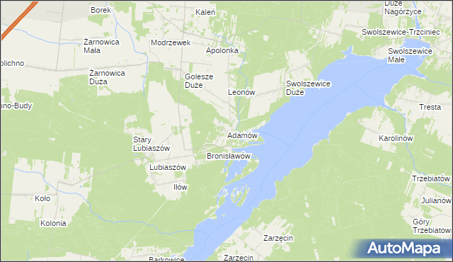 mapa Adamów gmina Wolbórz, Adamów gmina Wolbórz na mapie Targeo