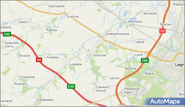 mapa Goślinów, Goślinów na mapie Targeo