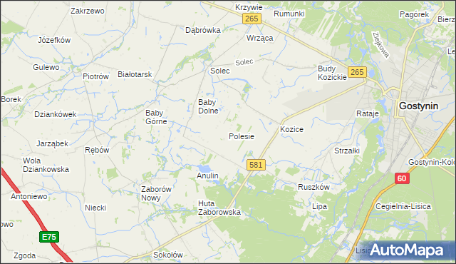 mapa Polesie gmina Gostynin, Polesie gmina Gostynin na mapie Targeo