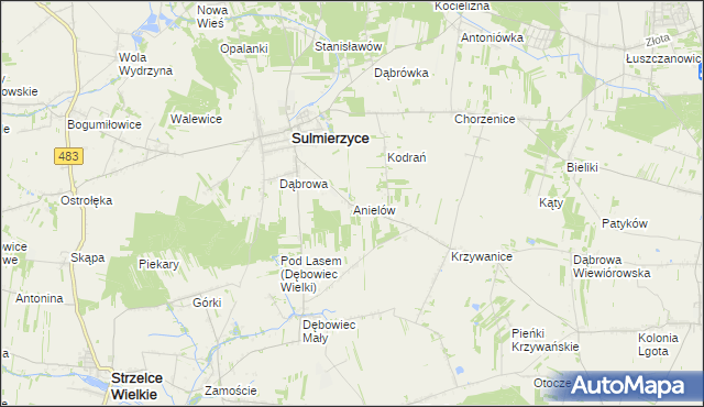 mapa Anielów gmina Sulmierzyce, Anielów gmina Sulmierzyce na mapie Targeo