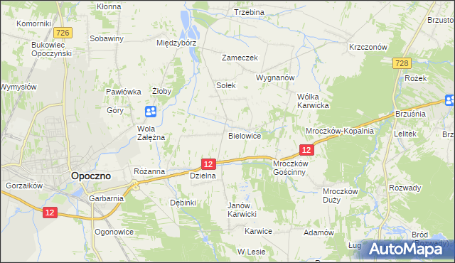 mapa Bielowice gmina Opoczno, Bielowice gmina Opoczno na mapie Targeo
